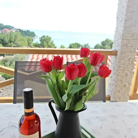 Camp Lostura Slanica Apartment *