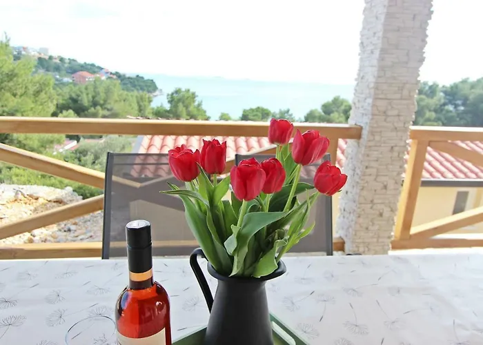 Camp Lostura Slanica 아파트 *